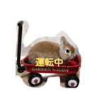 ウサギのちゅらちゃん（個別スタンプ：3）