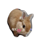 ウサギのちゅらちゃん（個別スタンプ：32）