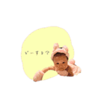 我が家の愛しのここたん②（個別スタンプ：14）