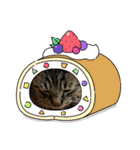 猫のキャベツくん（個別スタンプ：2）