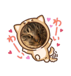 猫のキャベツくん（個別スタンプ：11）