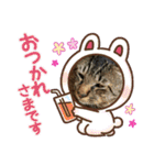 猫のキャベツくん（個別スタンプ：12）