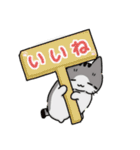 もっちりほっぺなねこ（個別スタンプ：11）