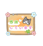 もっちりほっぺなねこ（個別スタンプ：20）