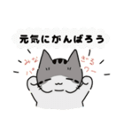 もっちりほっぺなねこ（個別スタンプ：26）