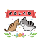 もっちりほっぺなねこ（個別スタンプ：34）