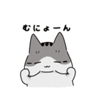 もっちりほっぺなねこ（個別スタンプ：37）