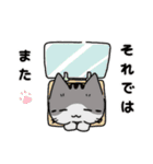 もっちりほっぺなねこ（個別スタンプ：40）