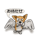 私の友達たち(犬)（個別スタンプ：25）