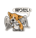 私の友達たち(犬)（個別スタンプ：28）