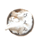 ちくわの使えるスタンプ（個別スタンプ：27）