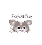 チワワのあっちゃん3イラスト編（個別スタンプ：16）