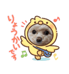 モカちゃん日記その6（個別スタンプ：5）