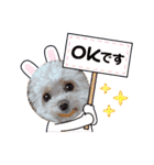 モカちゃん日記その6（個別スタンプ：6）