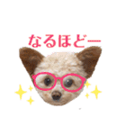 モカちゃん日記その6（個別スタンプ：8）