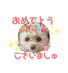 モカちゃん日記その6（個別スタンプ：14）