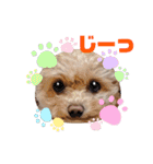 モカちゃん日記その6（個別スタンプ：21）