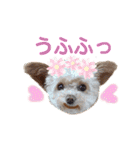 モカちゃん日記その6（個別スタンプ：22）