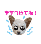 モカちゃん日記その6（個別スタンプ：26）
