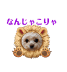 モカちゃん日記その6（個別スタンプ：31）