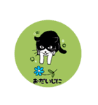 ネコ日和スタンプ（個別スタンプ：7）