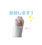 『ななこ』5 よく使うあいさつ・返事（個別スタンプ：2）