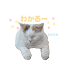 『ななこ』5 よく使うあいさつ・返事（個別スタンプ：4）