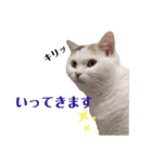 『ななこ』5 よく使うあいさつ・返事（個別スタンプ：5）