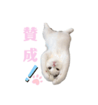 『ななこ』5 よく使うあいさつ・返事（個別スタンプ：6）