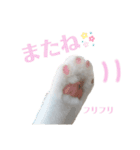 『ななこ』5 よく使うあいさつ・返事（個別スタンプ：8）