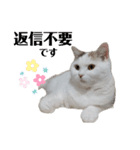 『ななこ』5 よく使うあいさつ・返事（個別スタンプ：9）