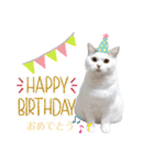 『ななこ』5 よく使うあいさつ・返事（個別スタンプ：11）