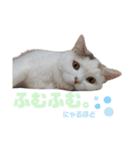 『ななこ』5 よく使うあいさつ・返事（個別スタンプ：14）