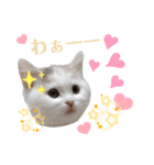 『ななこ』5 よく使うあいさつ・返事（個別スタンプ：15）