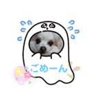 カルアとショコラ2（個別スタンプ：6）