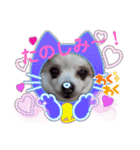 カルアとショコラ2（個別スタンプ：8）