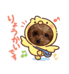 カルアとショコラ2（個別スタンプ：22）
