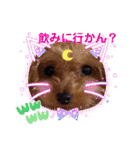 カルアとショコラ2（個別スタンプ：23）