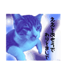 つむちゃと遊ぼう（個別スタンプ：7）