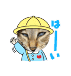 猫4匹スタンプ（個別スタンプ：2）