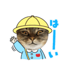 猫4匹スタンプ（個別スタンプ：12）