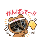 猫4匹スタンプ（個別スタンプ：22）