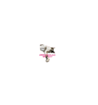 猫4匹スタンプ（個別スタンプ：39）