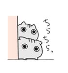 にゃんちんスタンプ（個別スタンプ：20）