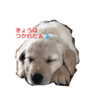 nico.nicoびより☺︎☺︎（個別スタンプ：4）