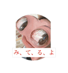 みーたーな（個別スタンプ：35）