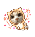 コタロウとその仲間たち。（個別スタンプ：17）