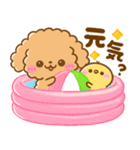 夏♡ふわもこといぷー（個別スタンプ：27）