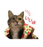 たびしスタンプ③（個別スタンプ：6）