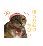 たびしスタンプ③（個別スタンプ：8）